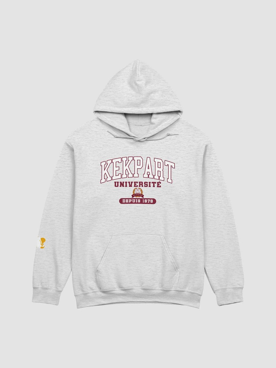 UKAQ College Hoodie product image (7)