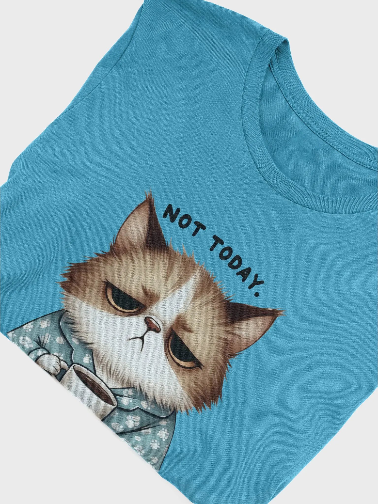 Not Today Human - Grumpy Cat Coffee T-Shirt product image (110)