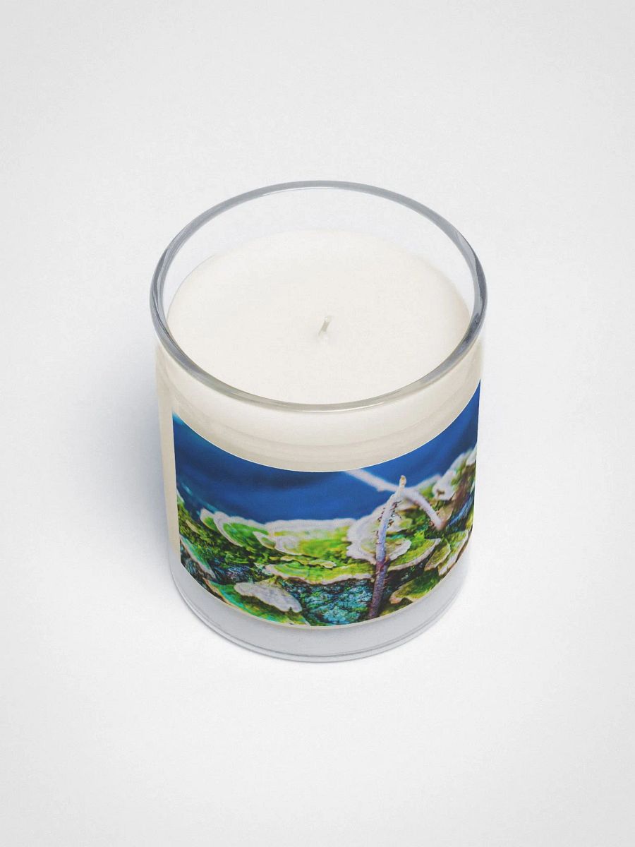 Vibrant Soy Candle product image (3)