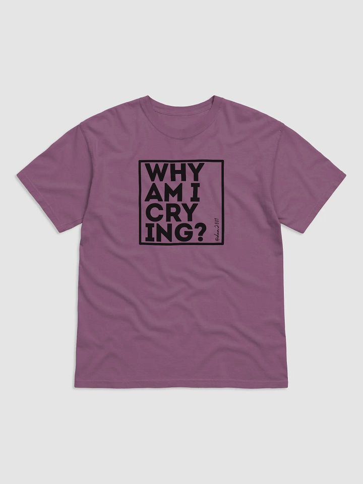 Why Am I Crying? product image (4)