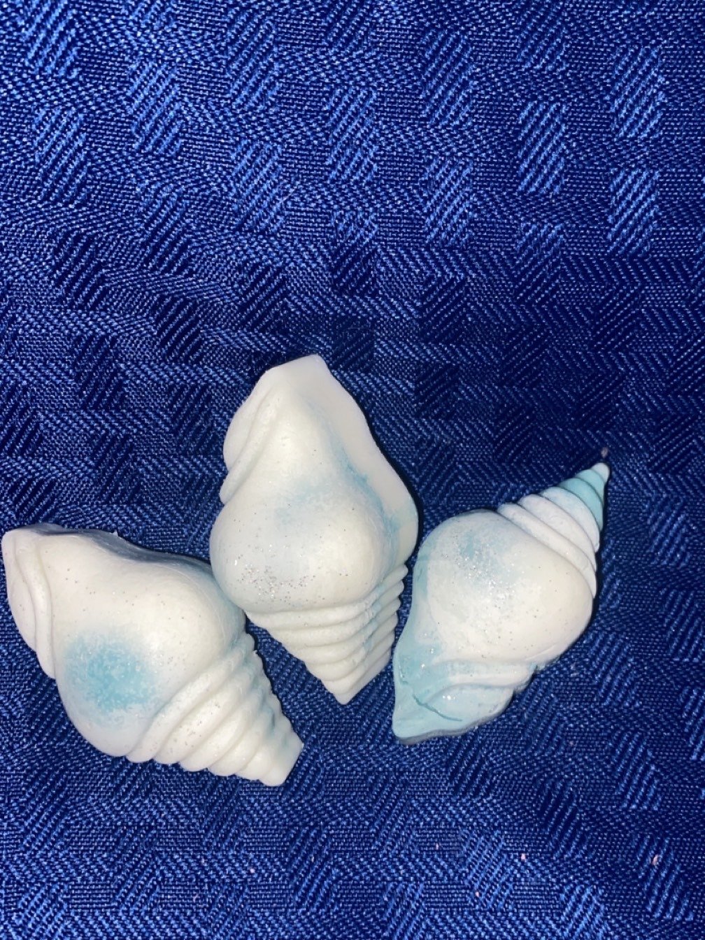 Tropical Vacation wax melts 6 pack product image (1)