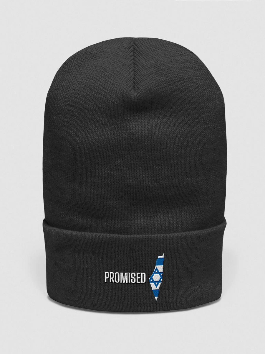 PROMISED Beanie – Covenant Edition product image (6)
