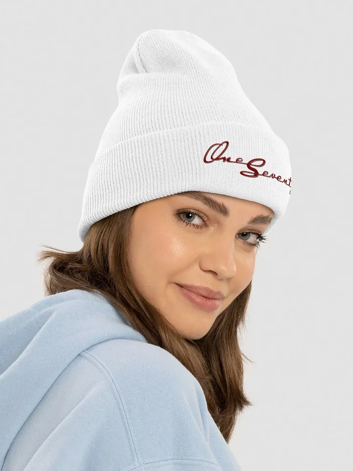 One Seventy Collectable Cuffed Beanie product image (2)