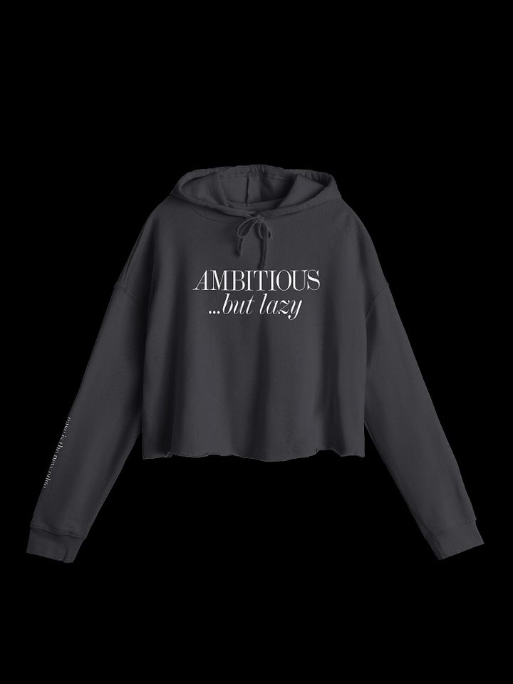ABL Crop Hoodie product image (1)