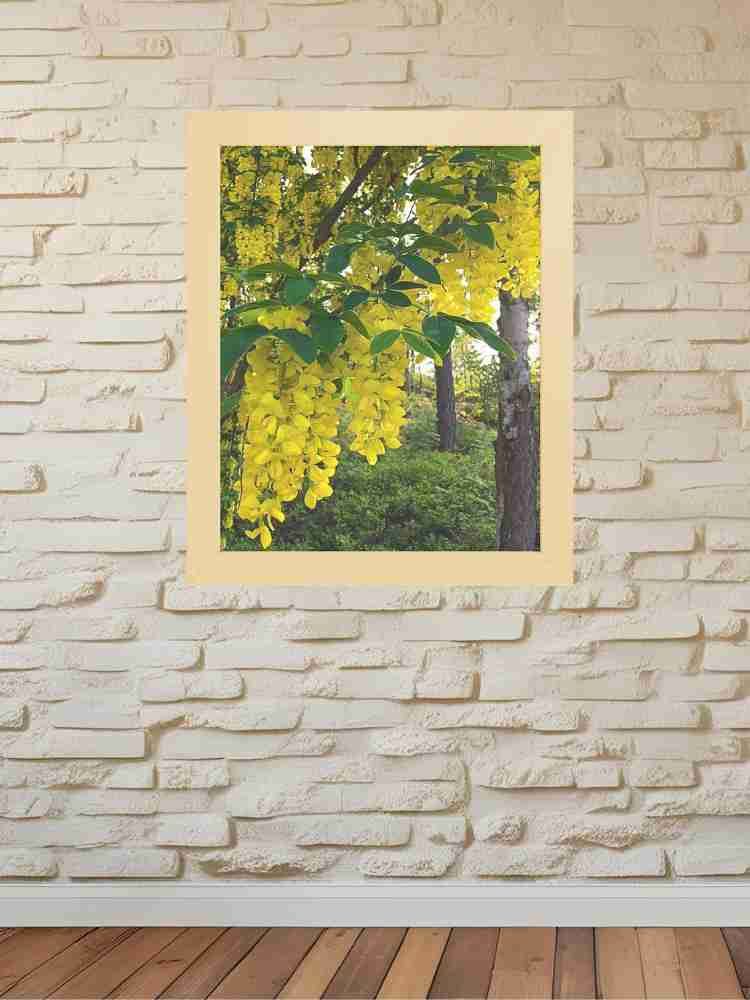 Golden Rain Flowers product image (3)