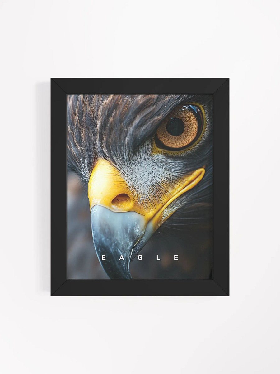 Eagle's Eye Matte Poster product image (38)