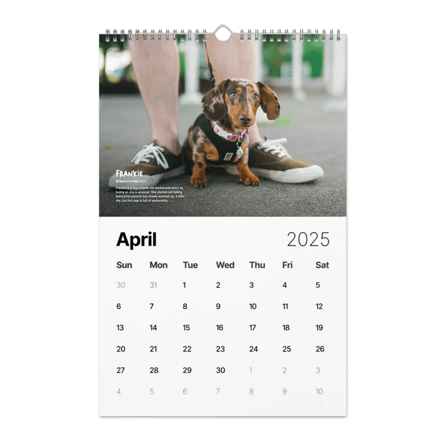Official 2025 Calendar product image (1)