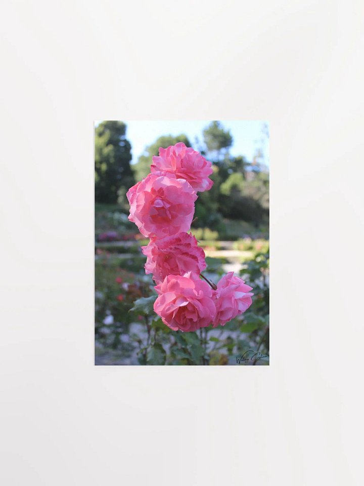 Floral L Print product image (1)