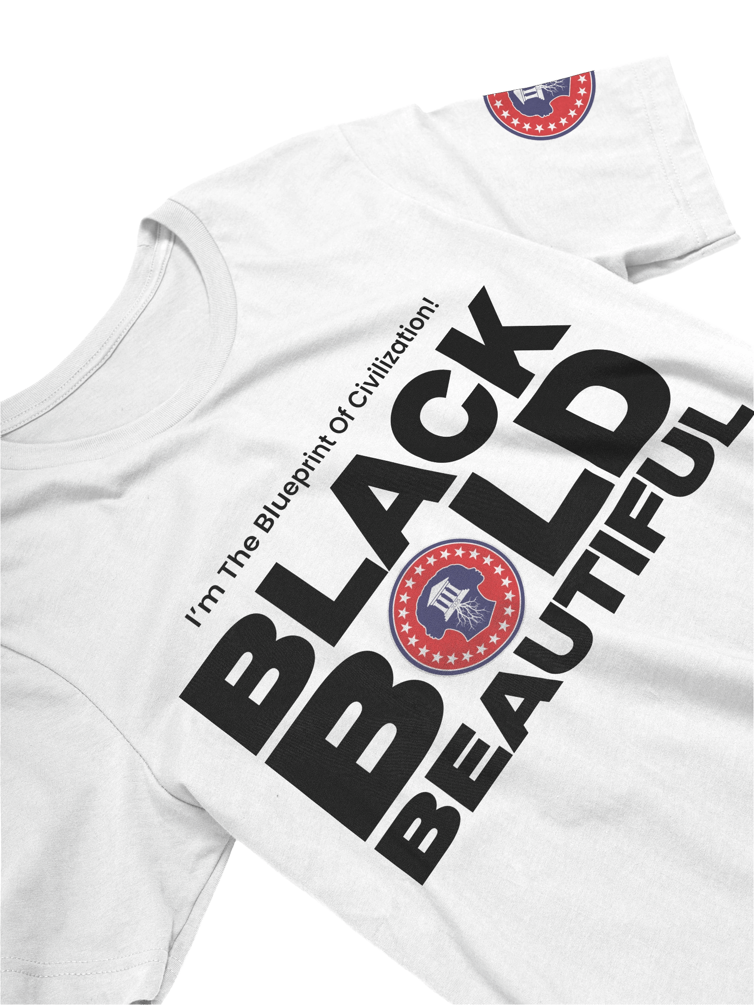 PA - Mother of Civilization T-Shirt product image (3)