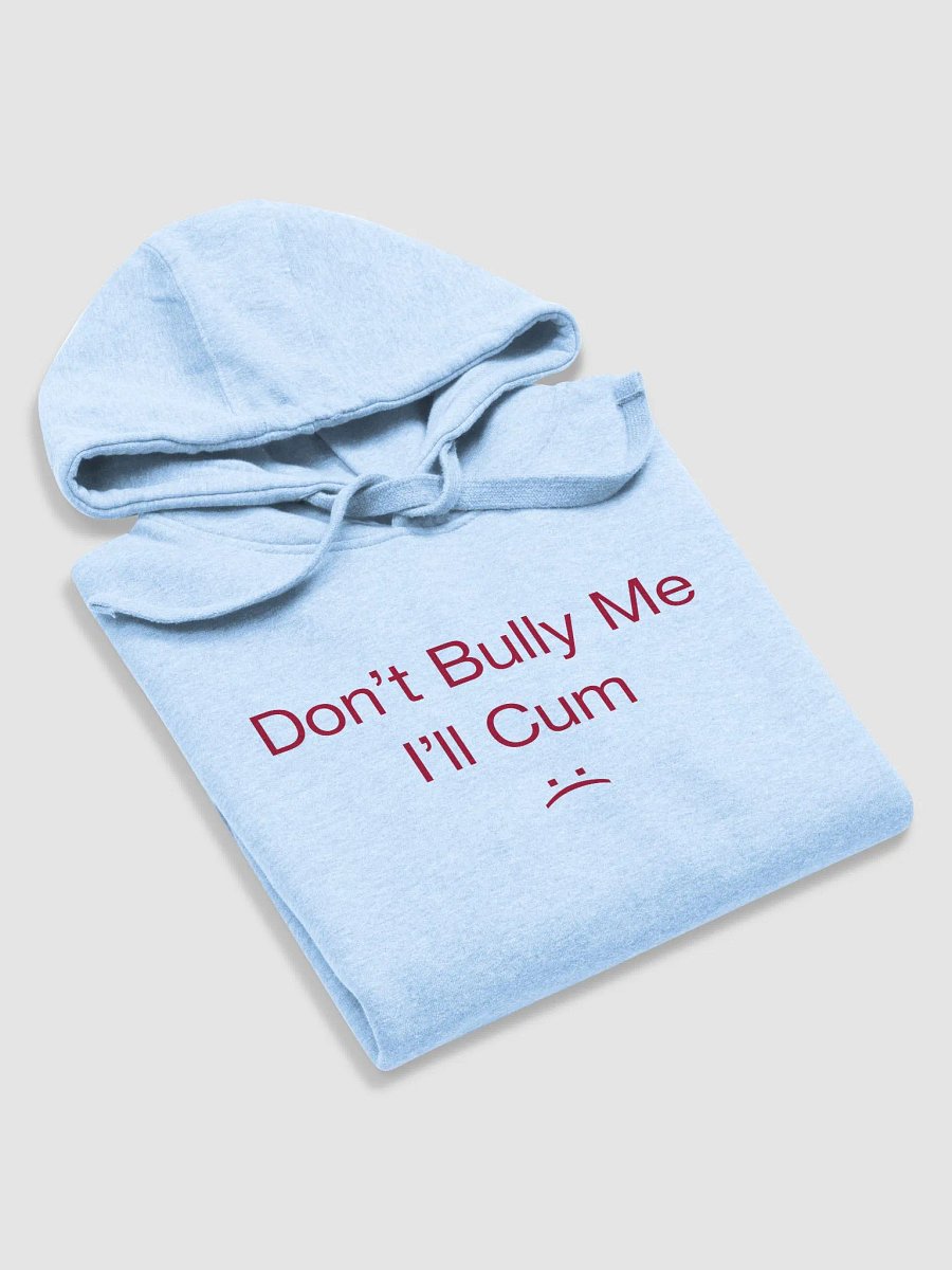 Bully Hoodie Light product image (6)