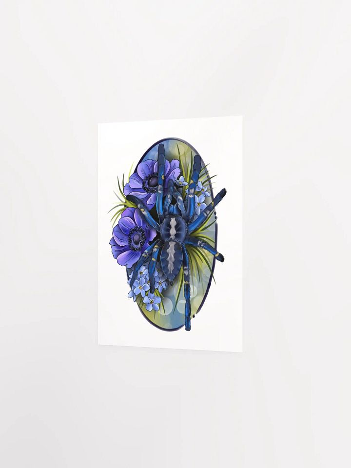 Poecilotheria metallica product image (6)