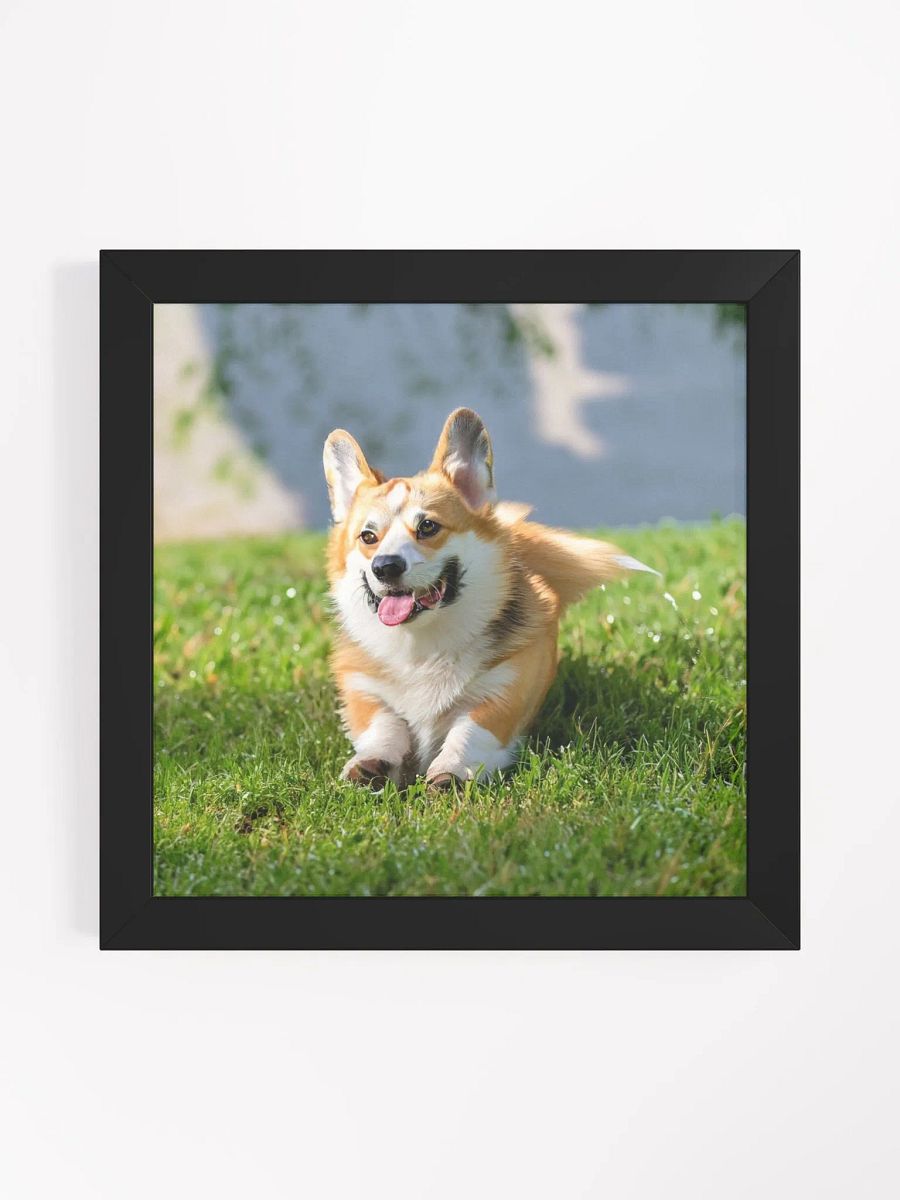 Bring Joy to Your Walls with a Framed Poster of an Adorable Dog product image (4)