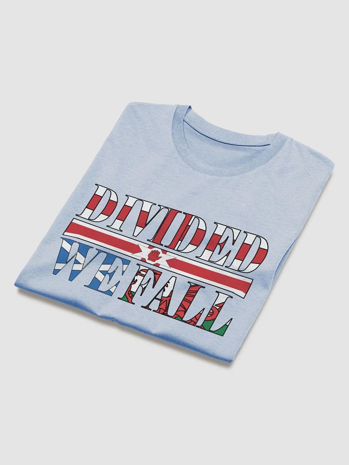 Divided We Fall - UK - Stanley/Stella Organic Cotton T-Shirt product image (2)