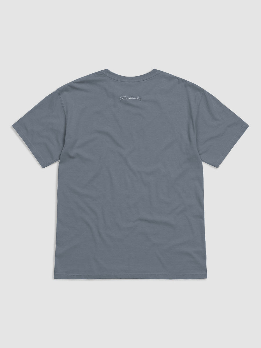 Boldness is Your Birthright Coastal Tee product image (5)