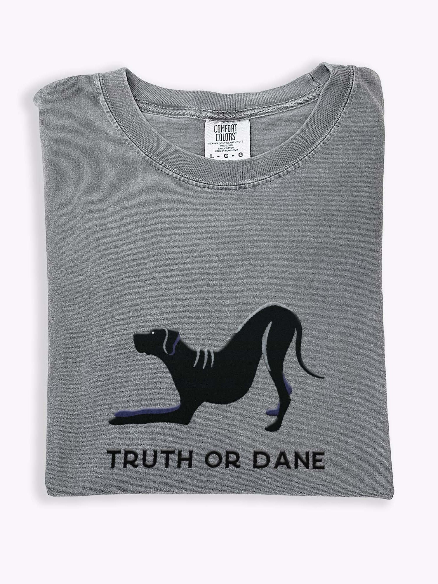 Truth or Dane T-Shirt(Embroidered) of a Great Dane(Black) product image (1)