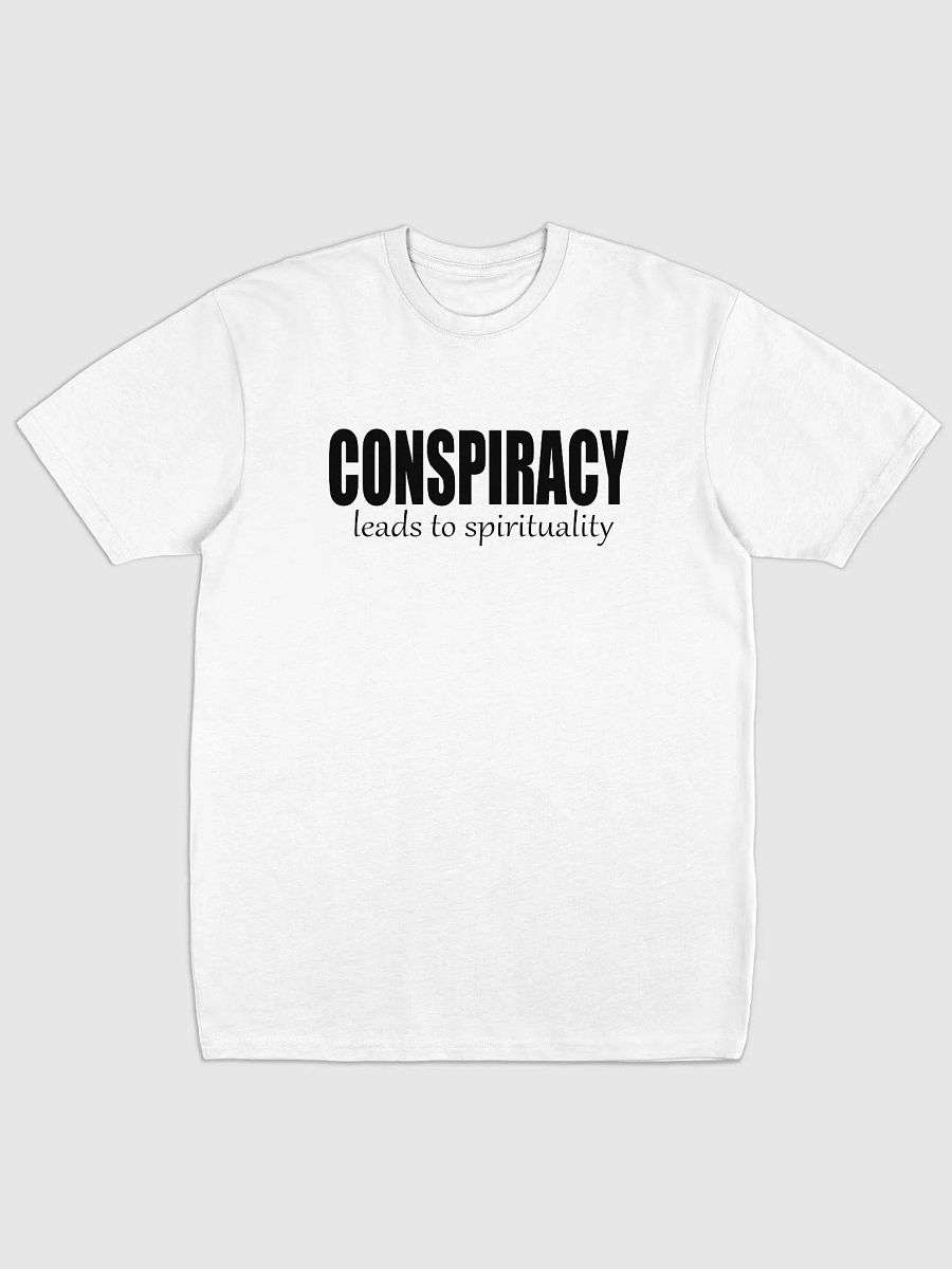 Conspiracy Leads To Spirituality - Cotton Heritage Men's Premium Heavyweight Tee product image (2)