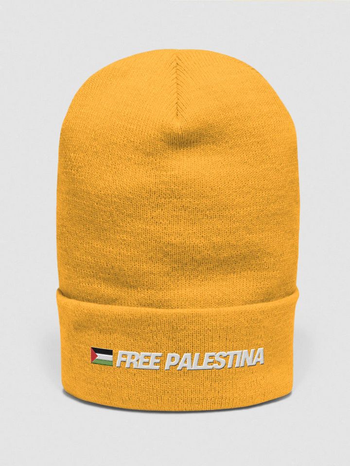 Yupoong Cuffed Beanie | FREE PALESTINA product image (2)