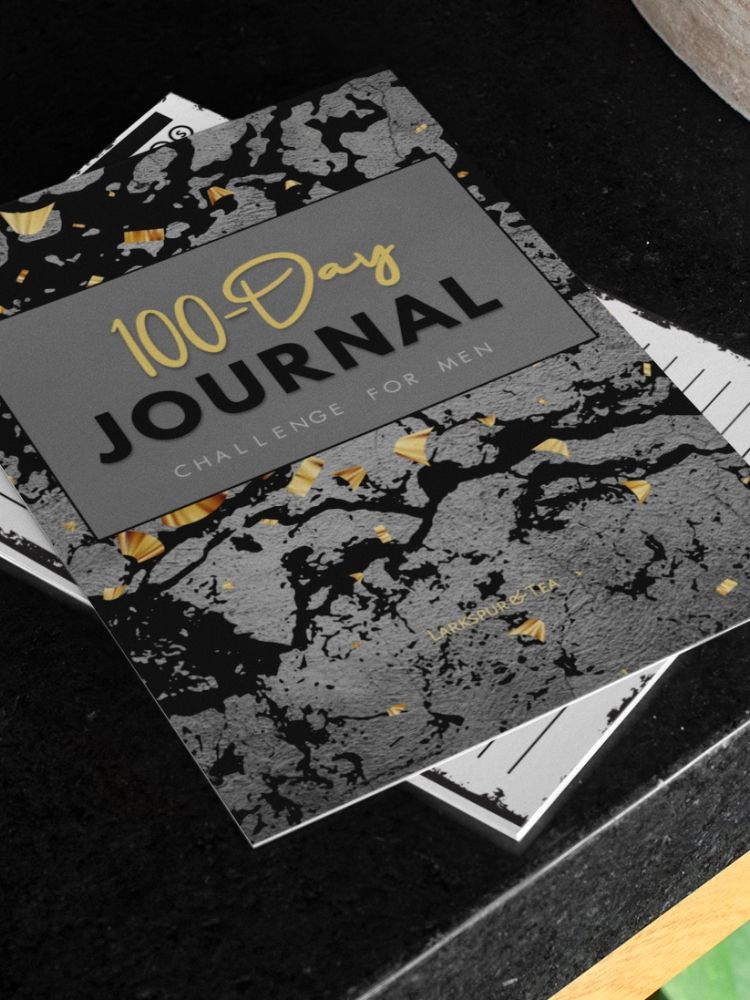 100-Day Journal Challenge for Men – A Guided Journal for Mental Health and Inner Growth product image (2)