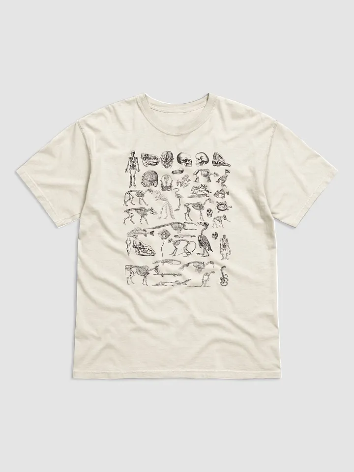 Vintage-Style Human and Animal Skeletons T-Shirt | Vintage-Style Dark Academia Shirt for Osteology and Anthropology Enthusiasts product image (12)