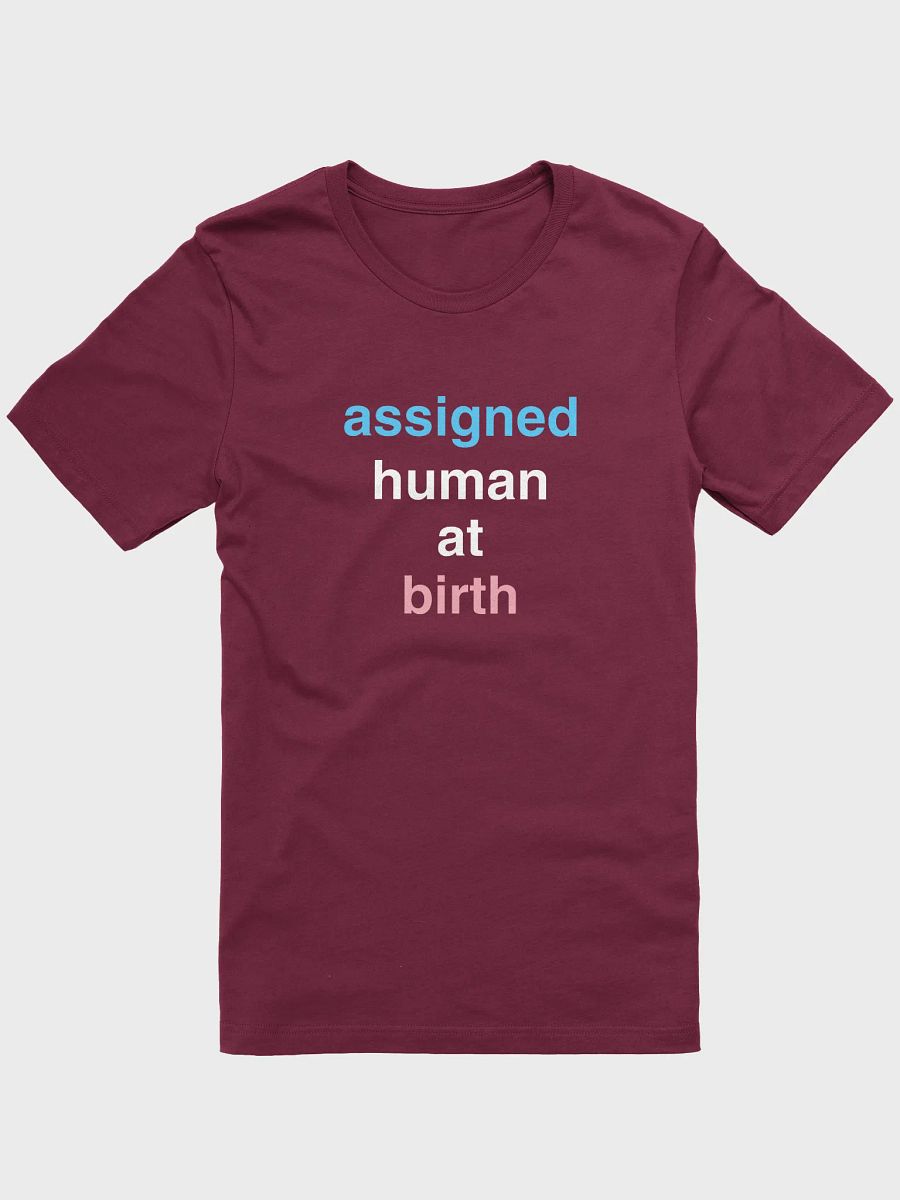 Assigned Human At Birth Trans T-Shirt product image (1)