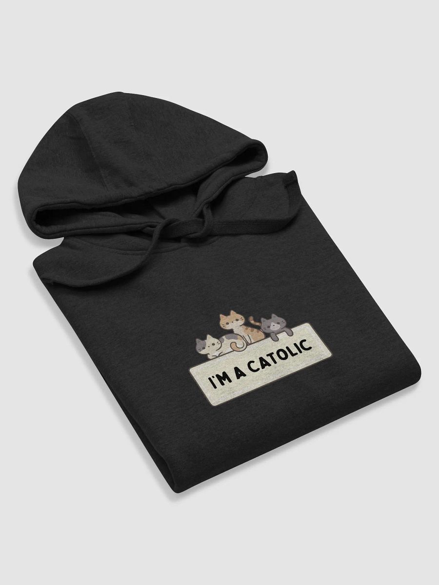 Paws & Praise Hoodie product image (5)