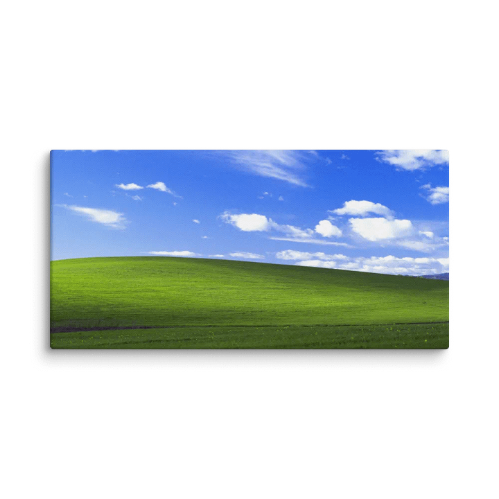 bliss canvas product image (1)