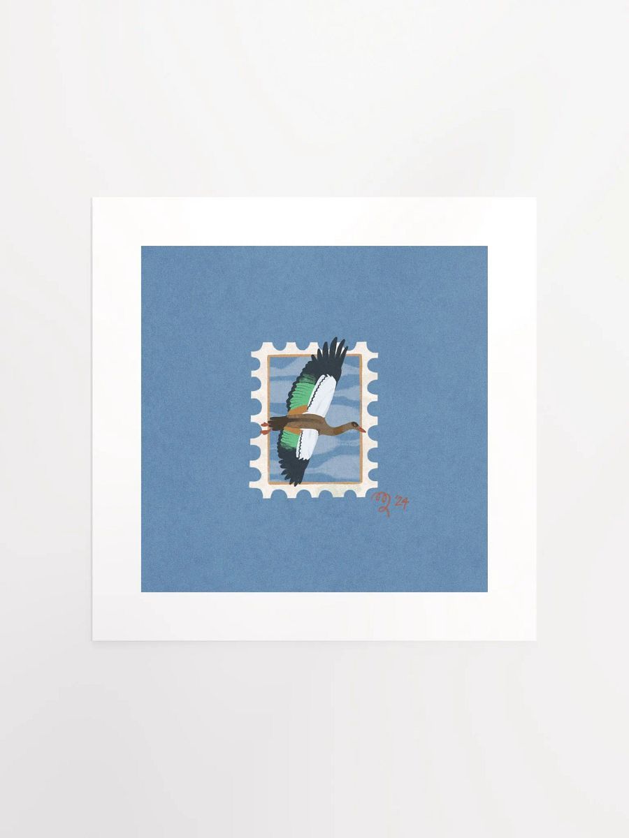 Egyptian Goose Stamp Print – Birbfest 2024 product image (2)