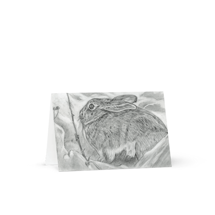 Greetings Card - Cottontail Rabbit product image (1)
