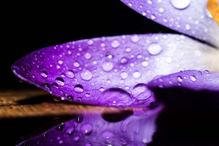 Petal -To-The-Metal product image (1)