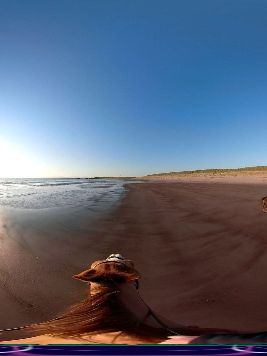 Complete Scottish Treasure "Moments" Suite 4K product image (12)