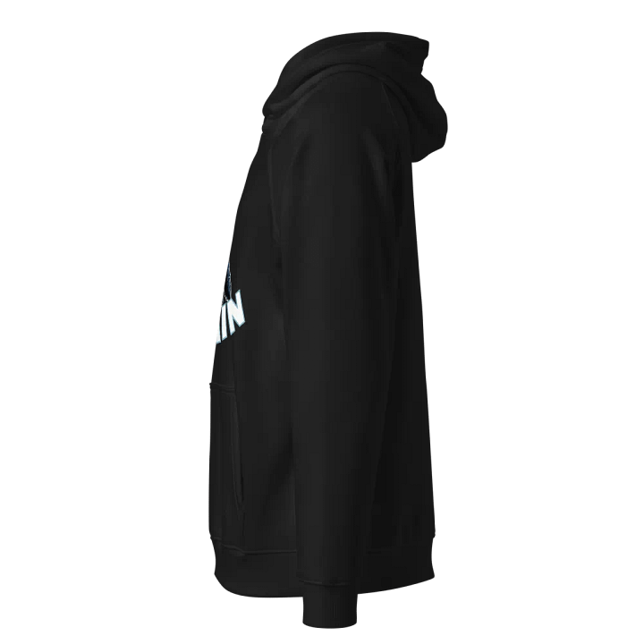 Chillin' Penguin Eco Raglan Hoodie product image (7)