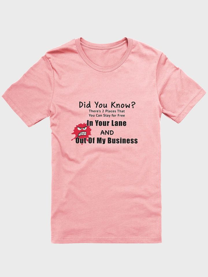 Did You Know T-shirt product image (1)