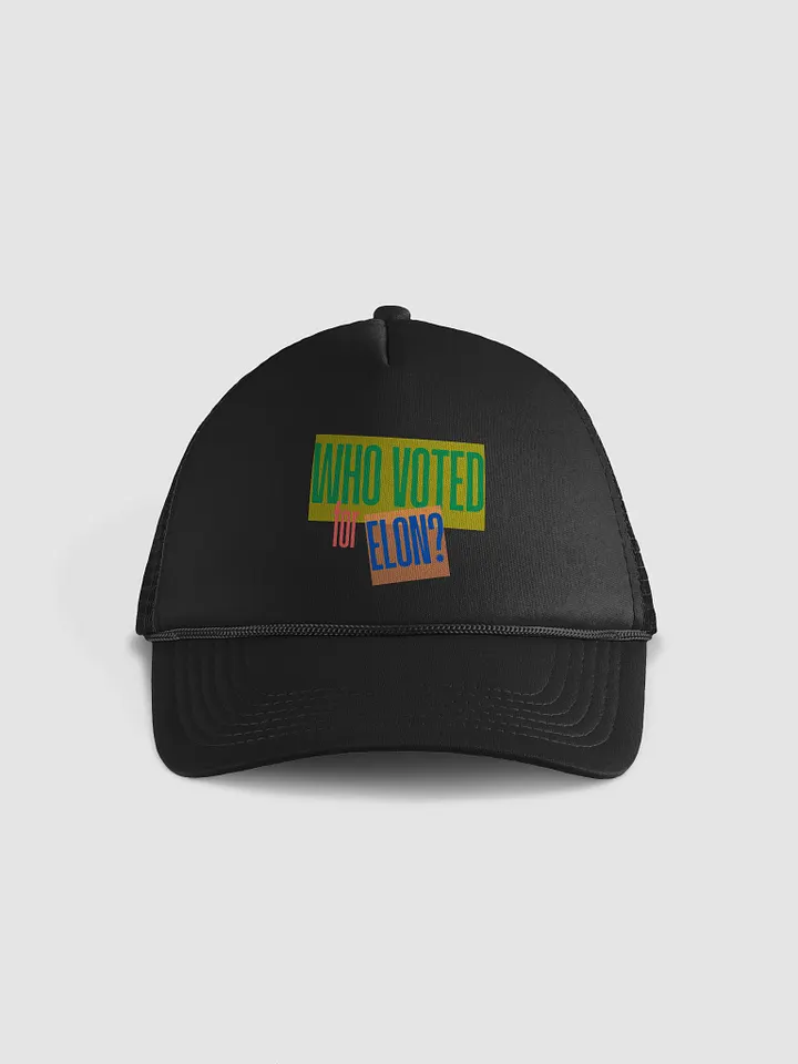 Who Voted For Elon? product image (2)