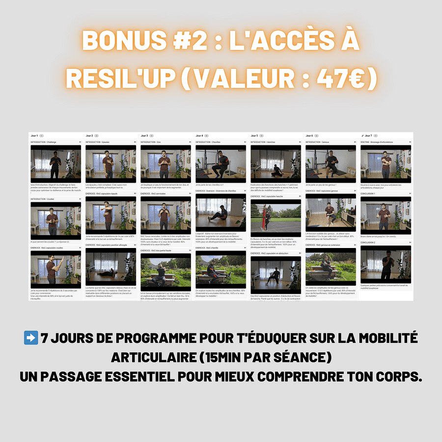 [Formation] Balèze aux élastiques NIVEAU 1 product image (6)