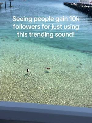 Trending sound #trendingsound #trending #trendingviralvideo #relatable  #dadsoftiktok 