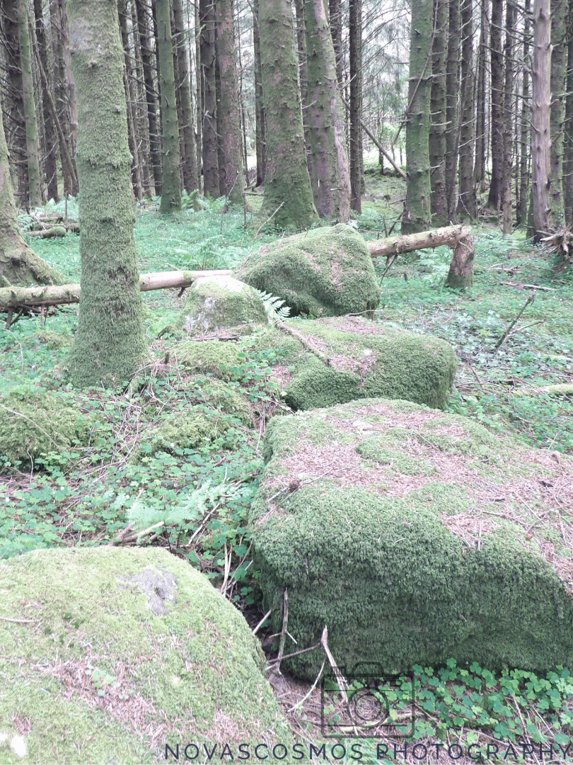 Moss meets Ocean (Ireland) product image (1)