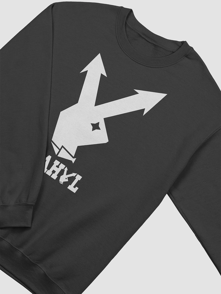 P-Boy sweatshirt product image (11)