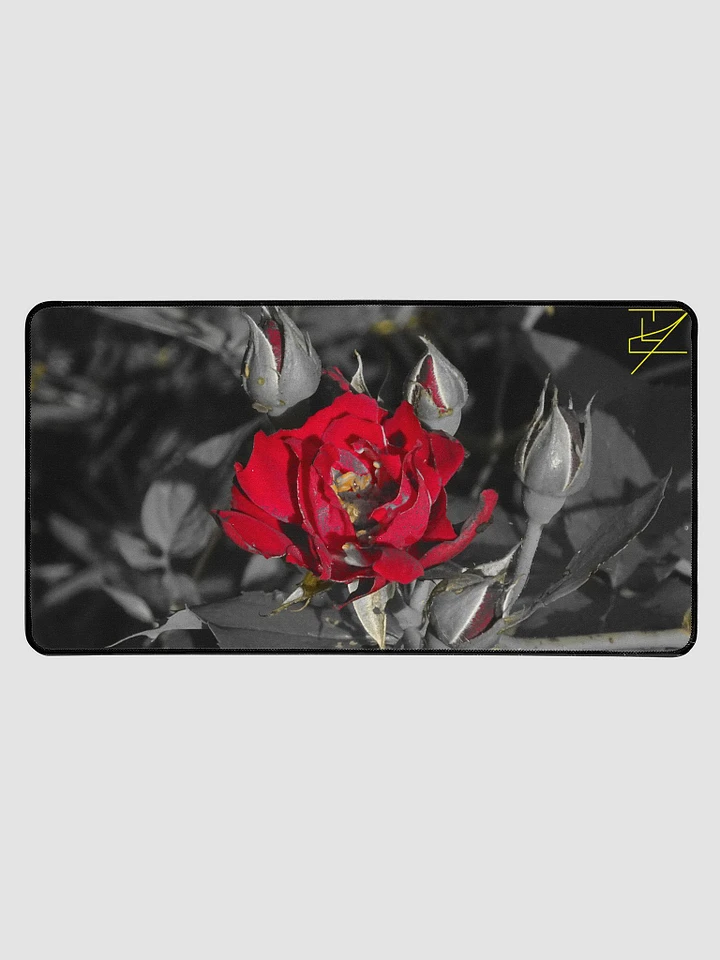 Fuchsia Rose product image (1)