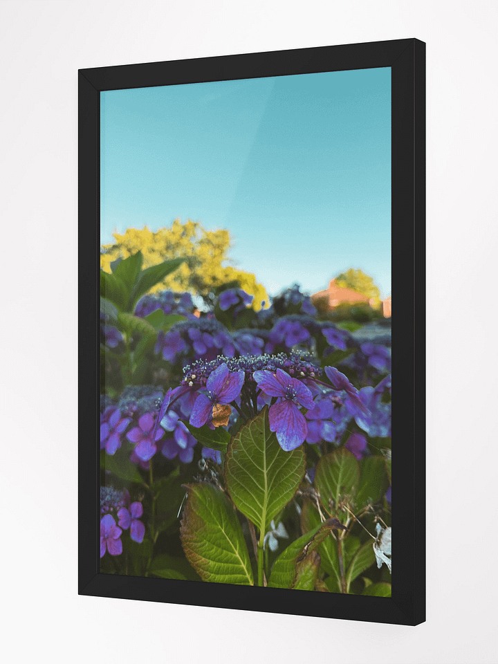 Vibrant Serenity product image (2)