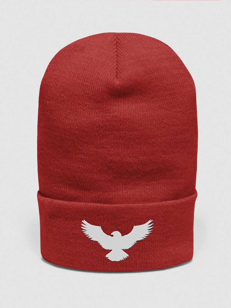 EAGLE Beanie product image (2)