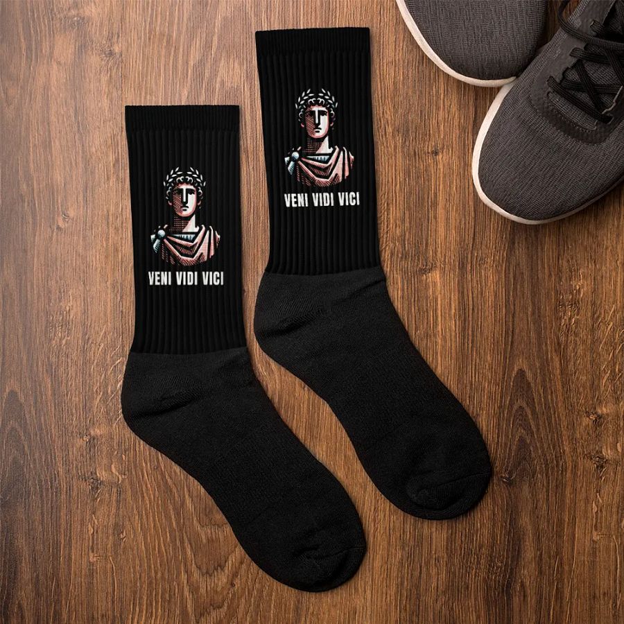 Veni Vidi Vici Socks product image (8)