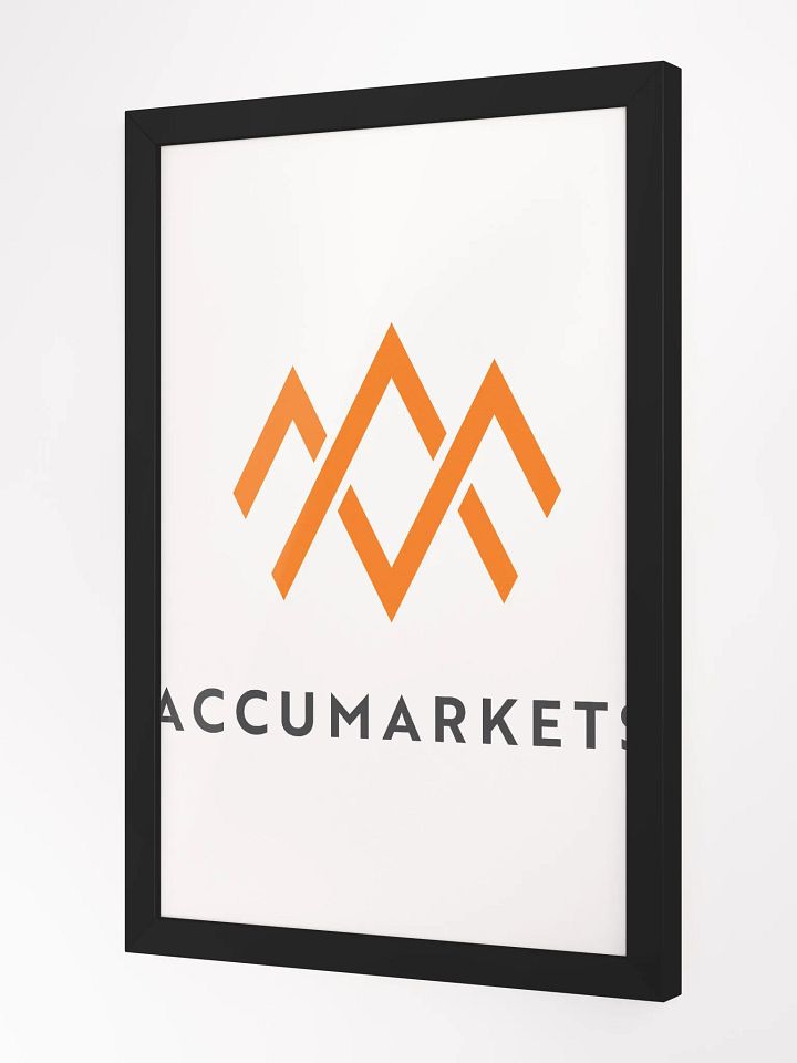 Accumarkets Canvas product image (3)