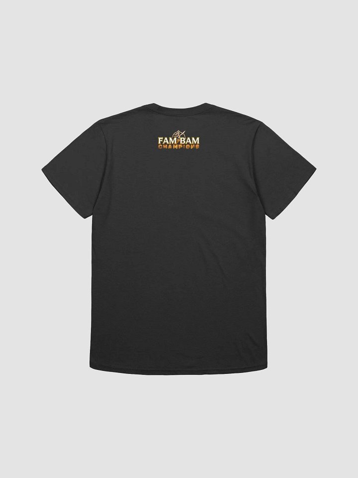 DSD Champions Tee product image (4)