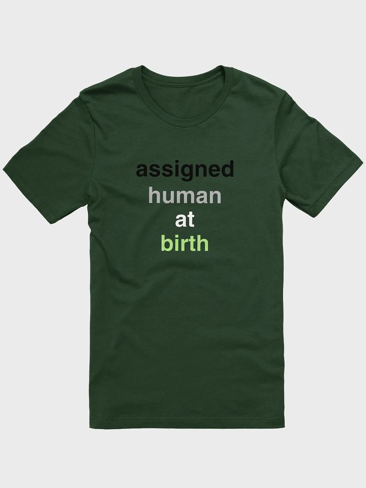 assigned human at birth agender t-shirt product image (1)