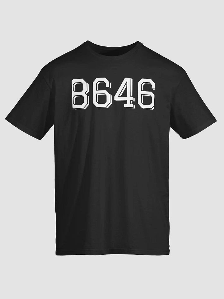 8646 Shirt product image (2)