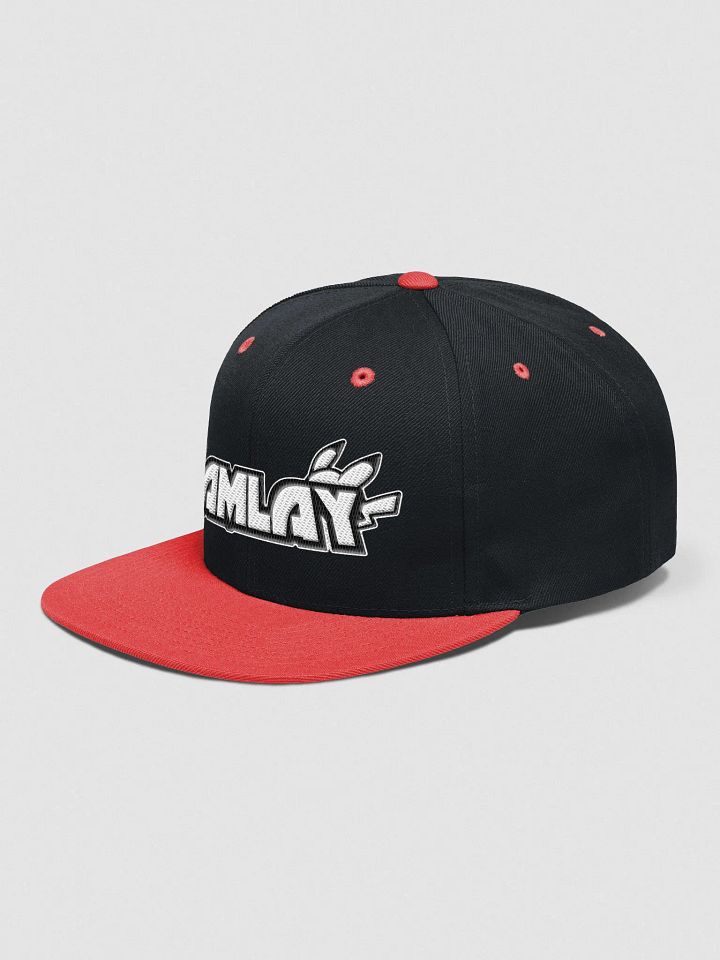 MultiColor Camlay Logo SnapBack product image (23)