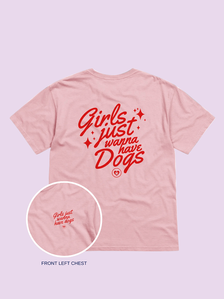 Pawsitively Chic Tee product image (1)
