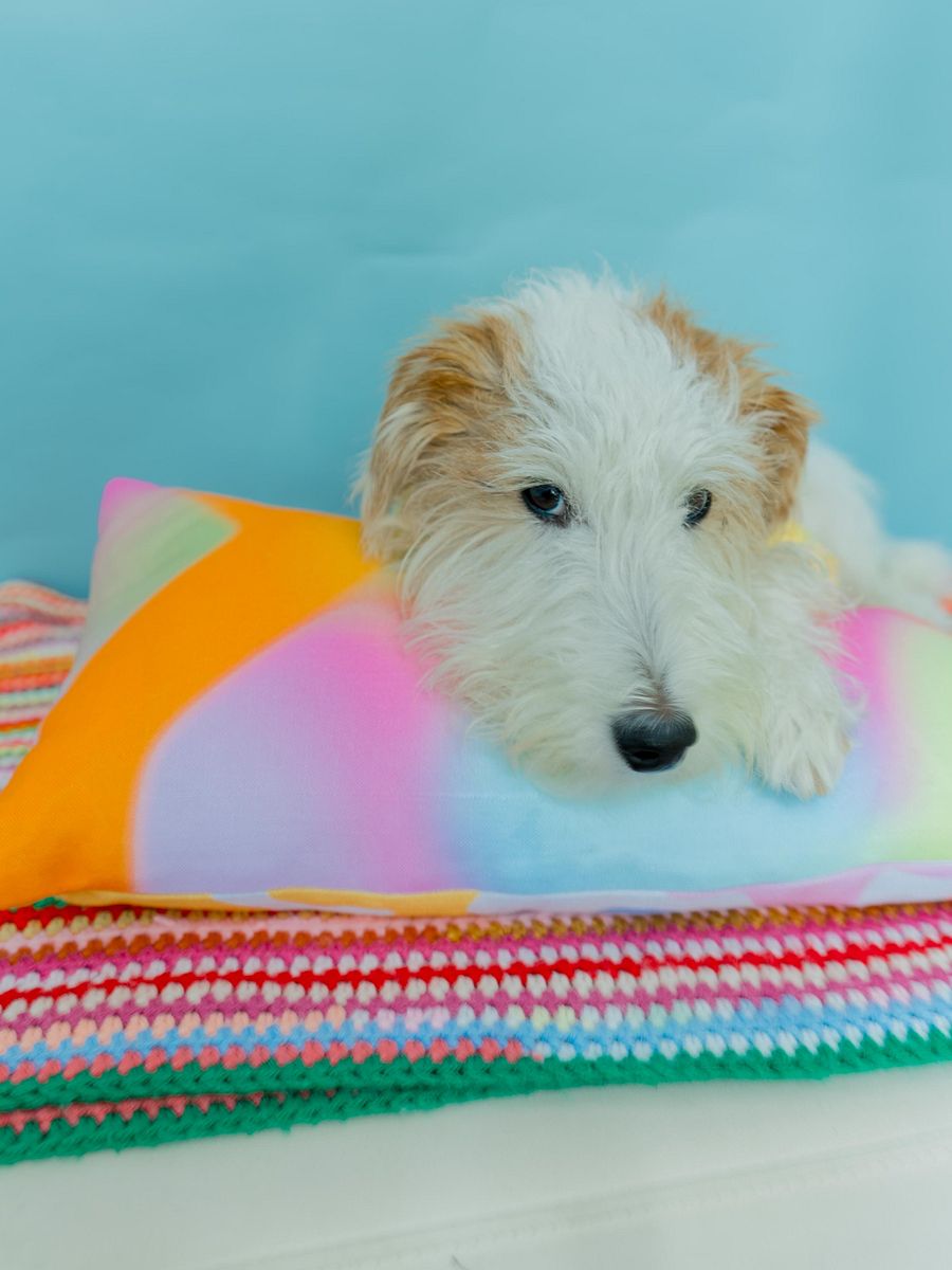 Colorful Duo Pillow product image (8)