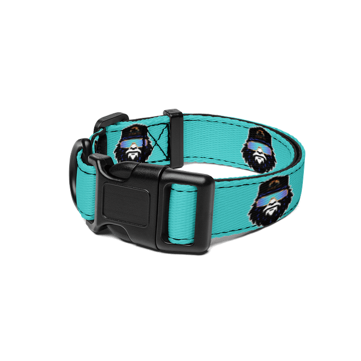 Destination Bigfoot Bronco Monogram Bigfoot Logo Dog Collar (Dark Turquoise) product image (1)
