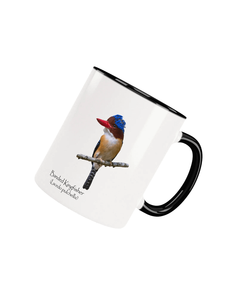 Banded Kingfisher mug product image (4)